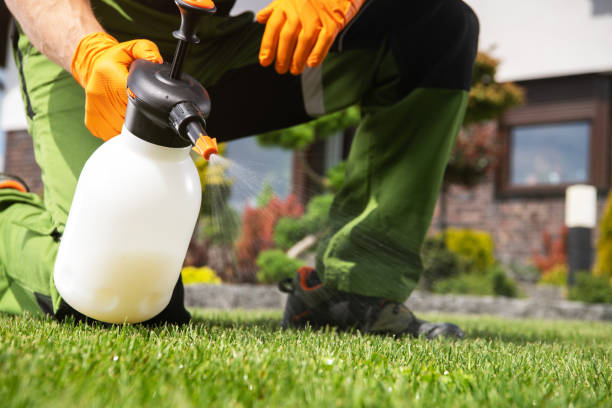 Best Pest Prevention Services  in Harlowton, MT