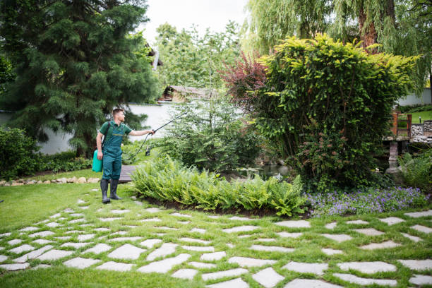 Best Pest Control Near Me  in Harlowton, MT