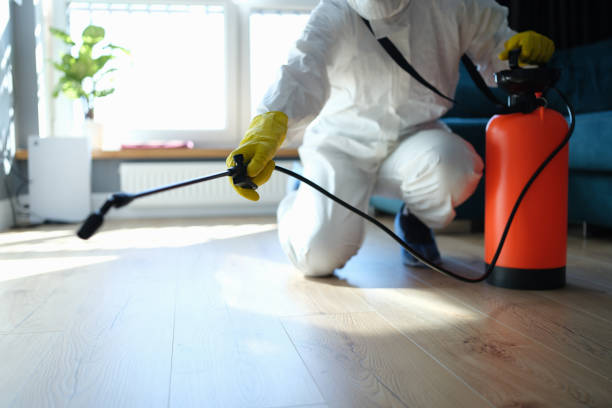 Best Pest Control for Businesses  in Harlowton, MT