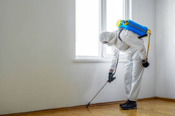 Best Cockroach Control Services  in Harlowton, MT
