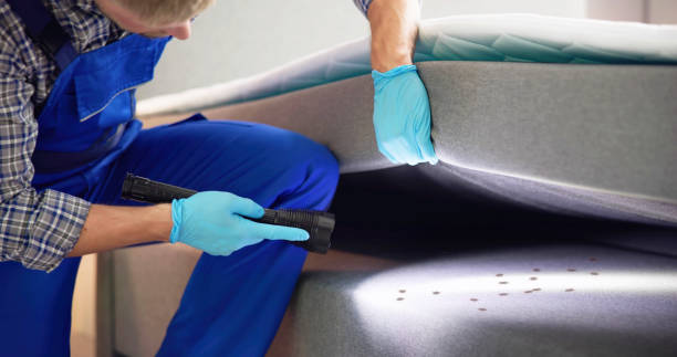 Best Termite Control Services  in Harlowton, MT