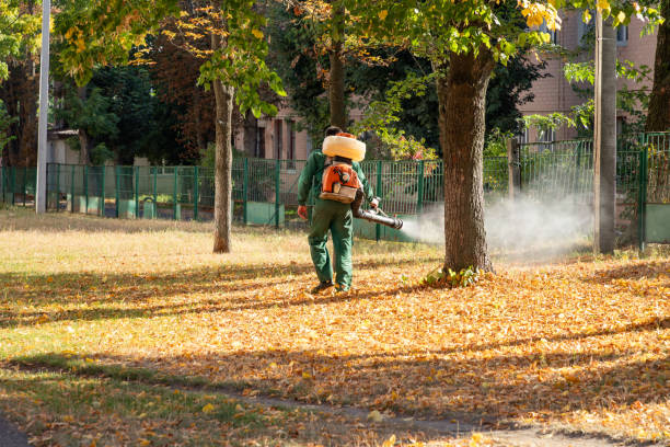 Best Wildlife Control Services  in Harlowton, MT