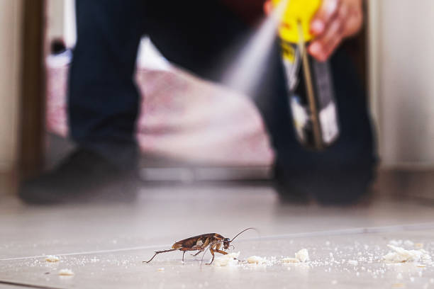 Best Pest Removal Services  in Harlowton, MT