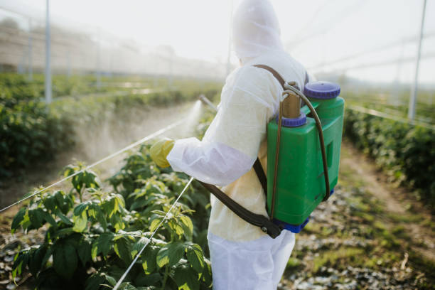 Best Pest Inspection Near Me  in Harlowton, MT